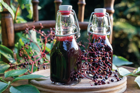 DIY Elderberry Syrup: A Vital Boost for Your Wellness Tea Blends