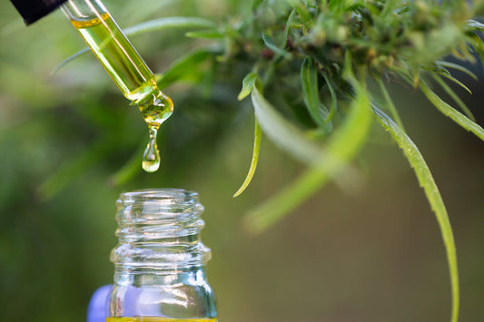 Crafting a Lung Health Tincture: A Natural Boost for Your Respiratory Wellness