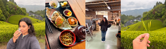 Exploring Tea Culture: Wazuka, Japan (Day 1)